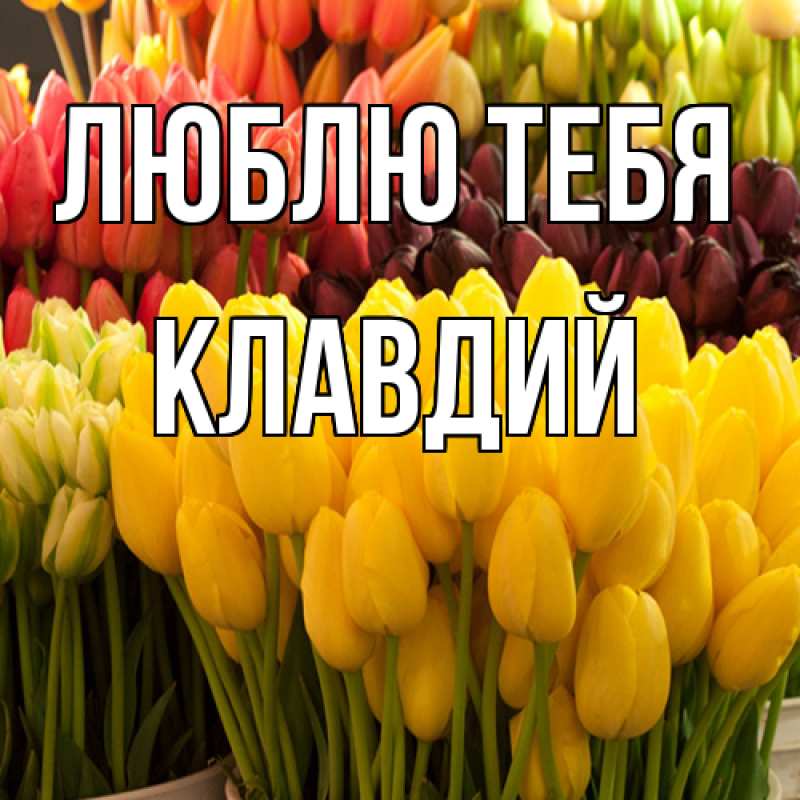 Картинка Люблю тебя, Клавдий