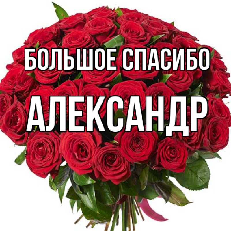 Открытка с именем, Александр, Большое спасибо