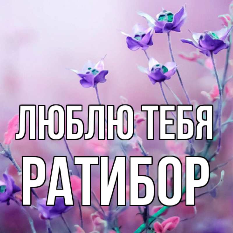 Картинка Люблю тебя, Ратибор