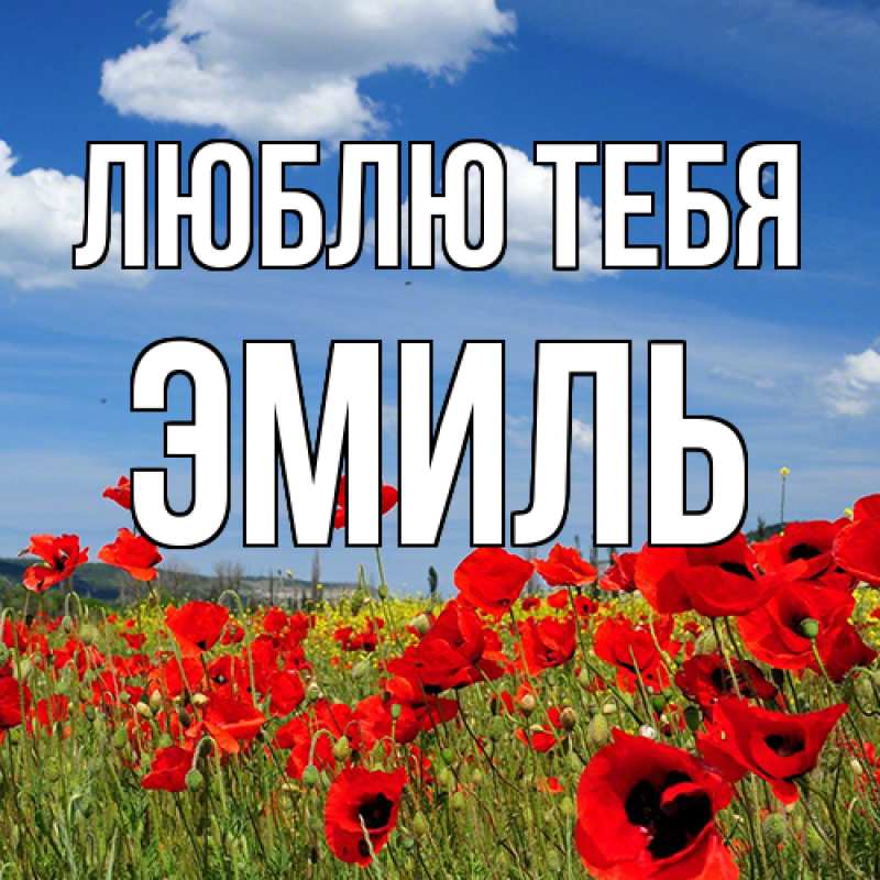Картинка Люблю тебя, Эмиль