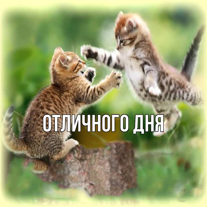 Картинка Обнимашки, Ева