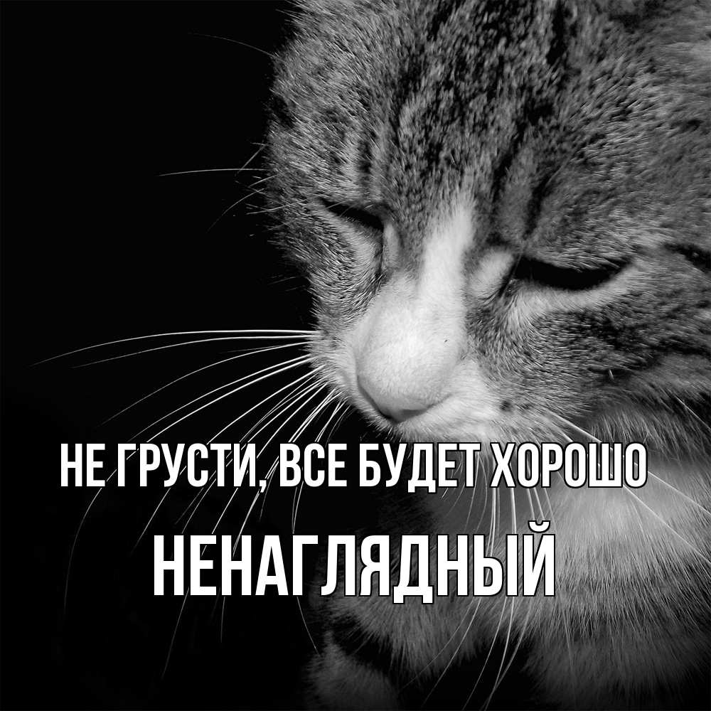 Открытка на каждый день с именем, Ненаглядный Не грусти все будет хорошо грустный котик Прикольная открытка с пожеланием онлайн скачать бесплатно 