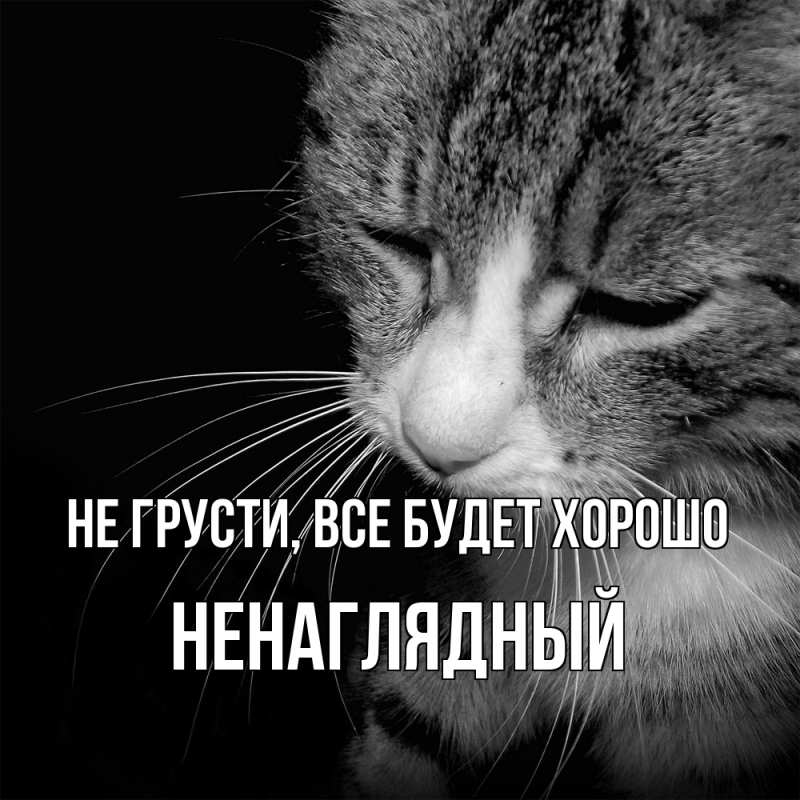 Картинка Не грусти, все будет хорошо, Ненаглядный