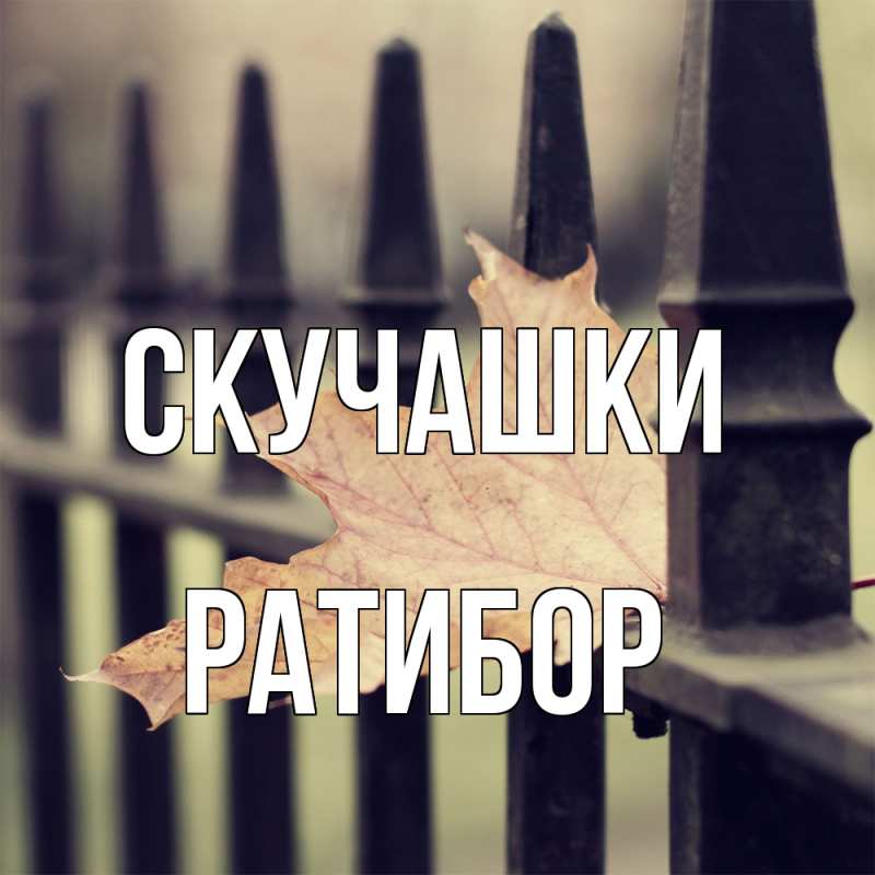 Картинка Скучашки, Ратибор