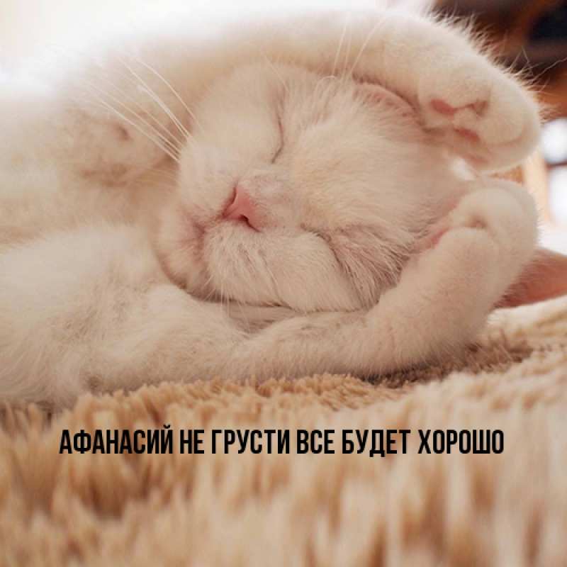 Картинка Не грусти, все будет хорошо, Афанасий