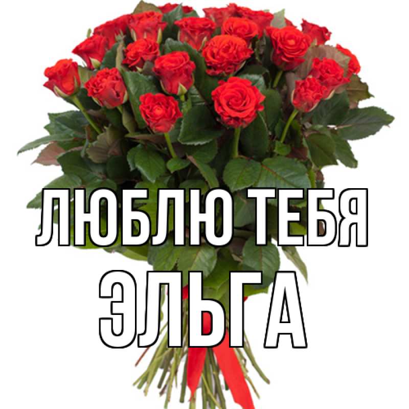 Картинка Люблю тебя, Эльга
