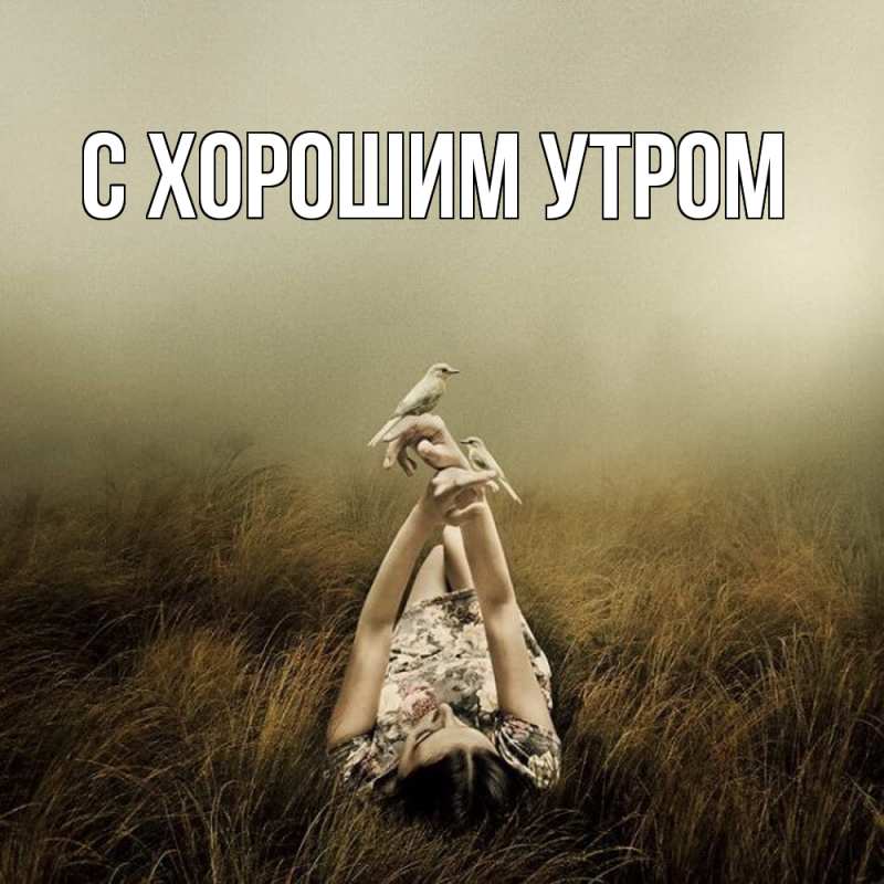Картинка Скучашки, Дамира
