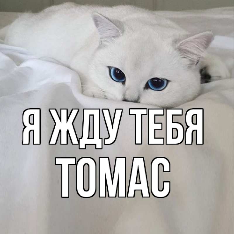 Картинка Я жду тебя, Томас