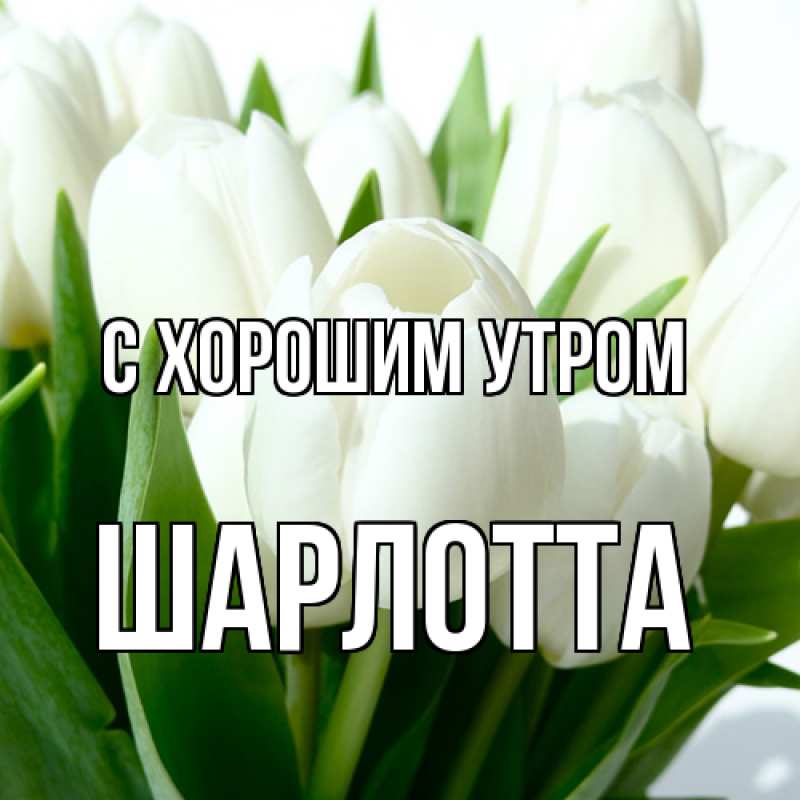 Картинка С хорошим утром, Шарлотта