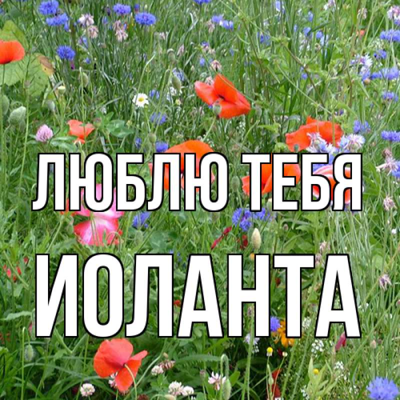 Картинка Люблю тебя, Иоланта