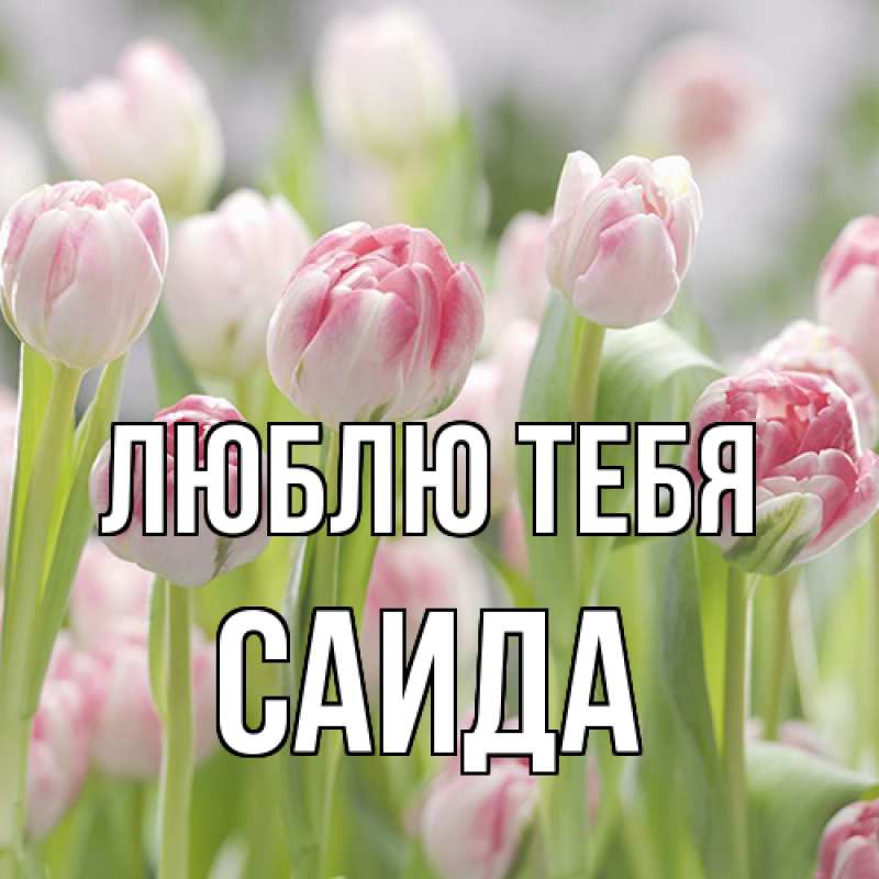 Картинка Люблю тебя, Саида