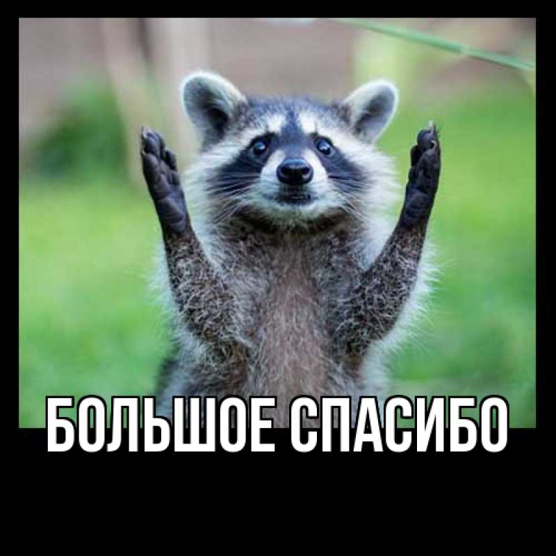 Картинка Большое спасибо, 