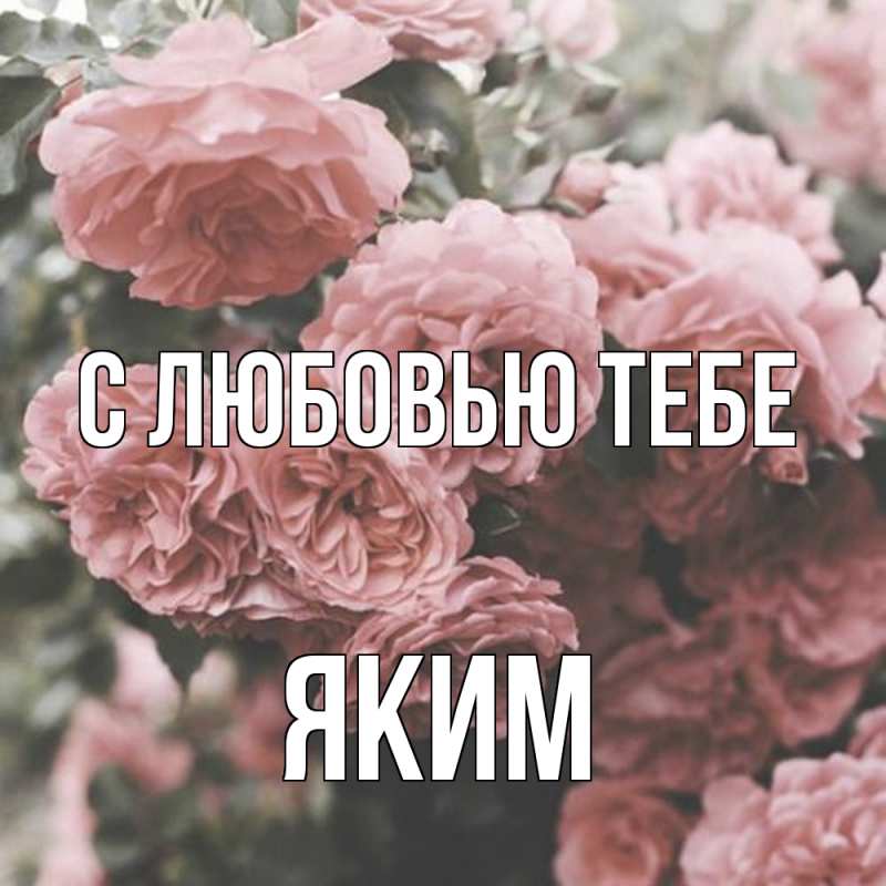 Картинка С любовью тебе, Яким