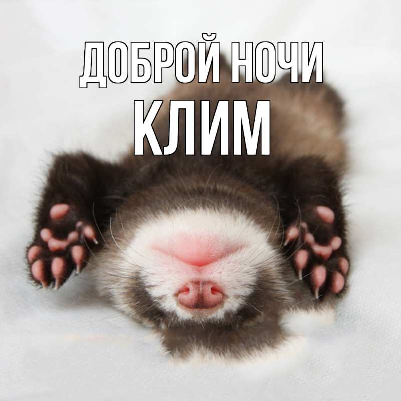 Картинка Доброй ночи, Клим
