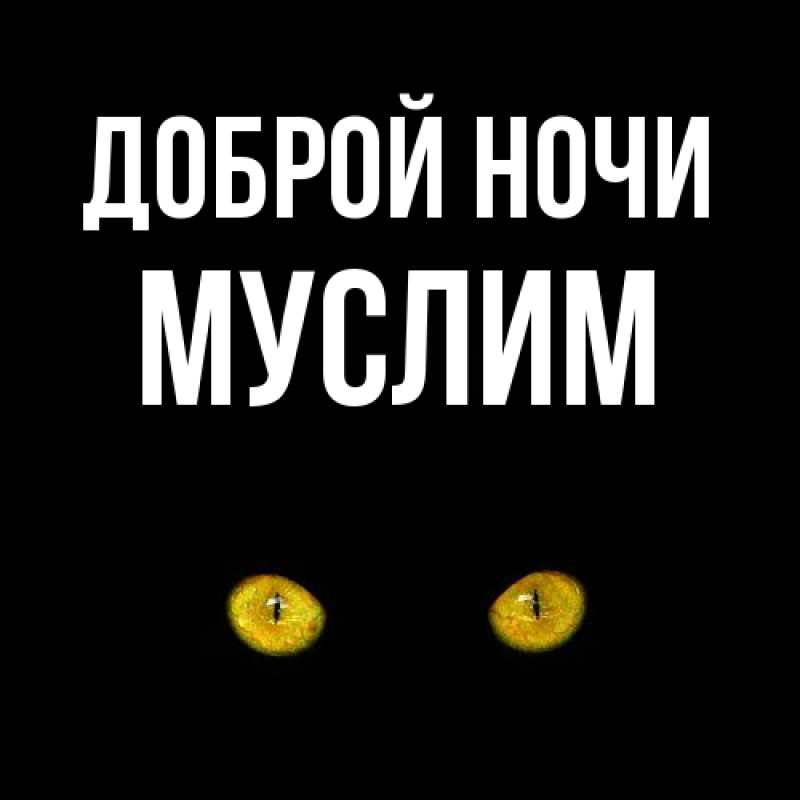 Картинка Доброй ночи, Муслим
