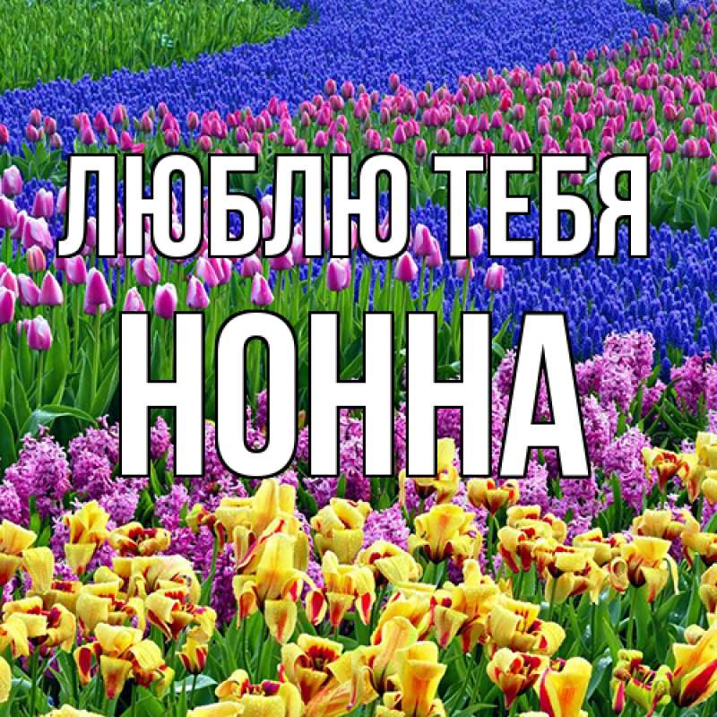 Картинка Люблю тебя, Нонна