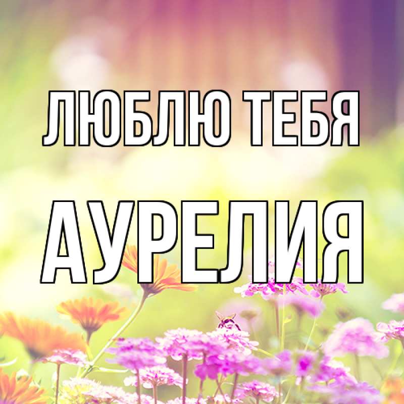 Картинка Люблю тебя, Аурелия