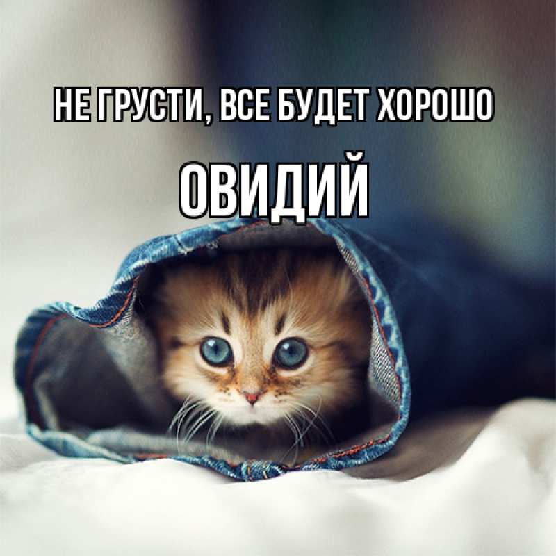 Открытка с именем, Овидий, Не грусти, все будет хорошо