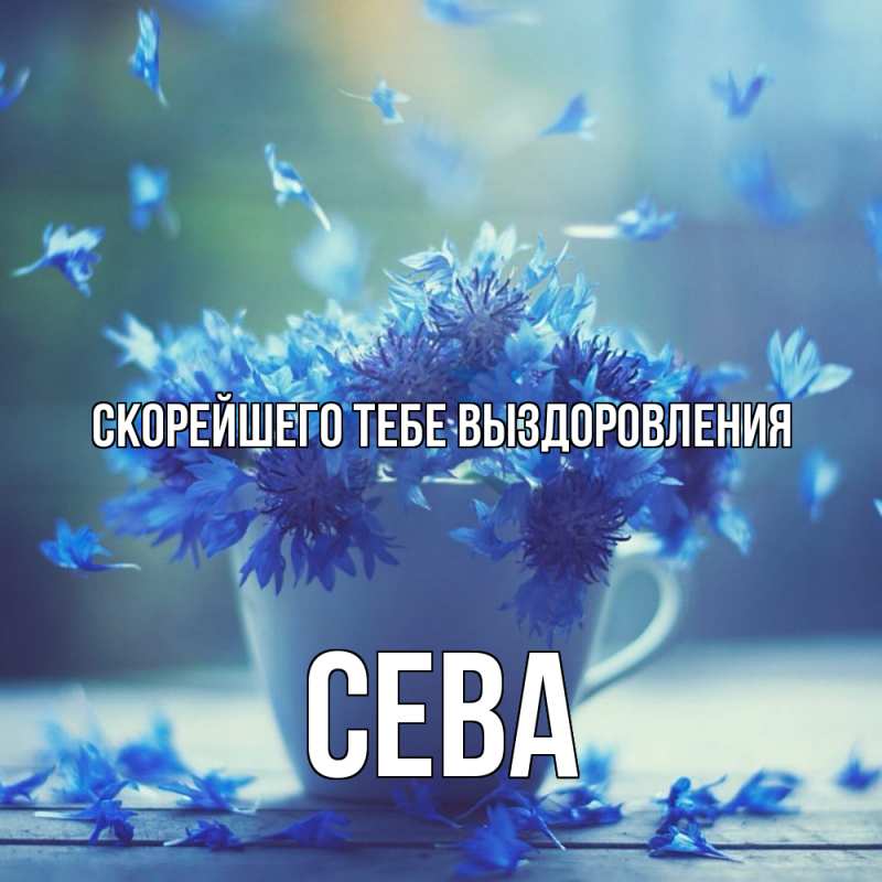 Картинка Скорейшего тебе выздоровления, Сева