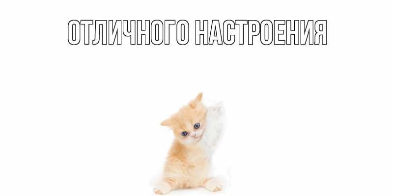 Картинка Не обижайся, Ангелина