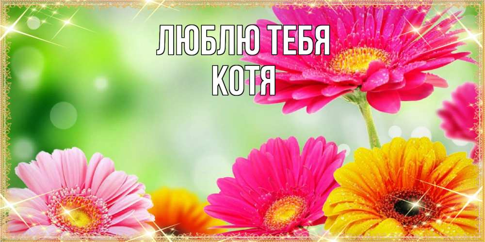 Открытка на каждый день с именем, Котя Люблю тебя цветочки для любимой женщины Прикольная открытка с пожеланием онлайн скачать бесплатно 