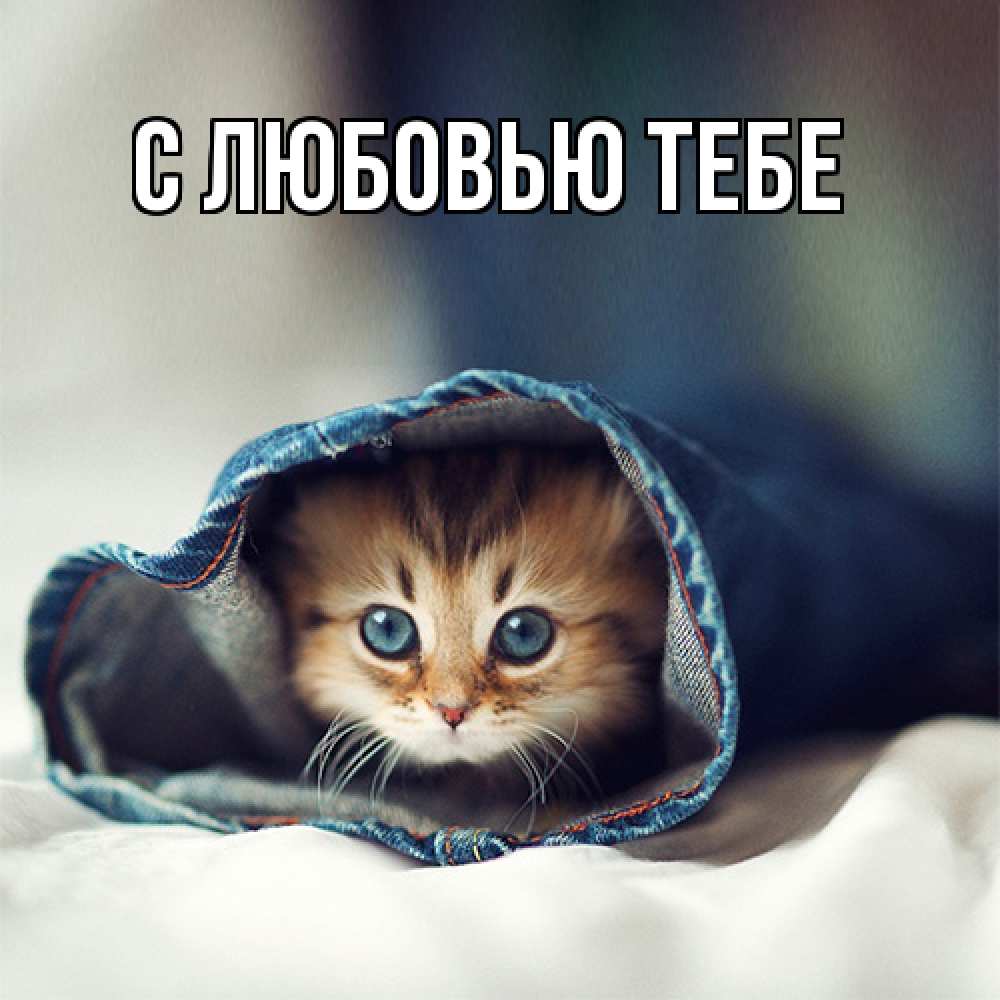 Открытка на каждый день с именем, Моя Я жду тебя мне без тебя плохо Прикольная открытка с пожеланием онлайн скачать бесплатно 