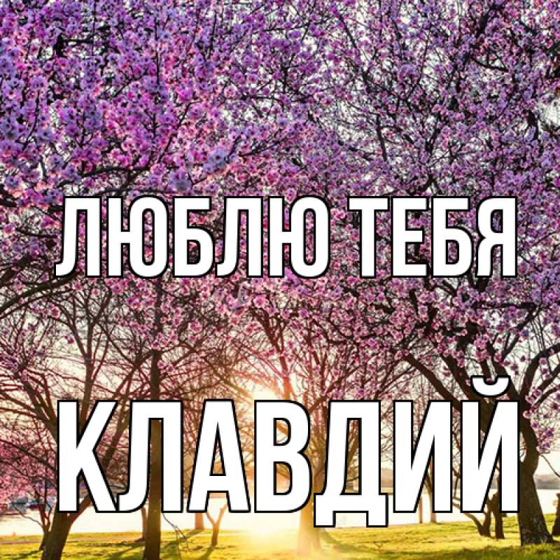 Картинка Люблю тебя, Клавдий