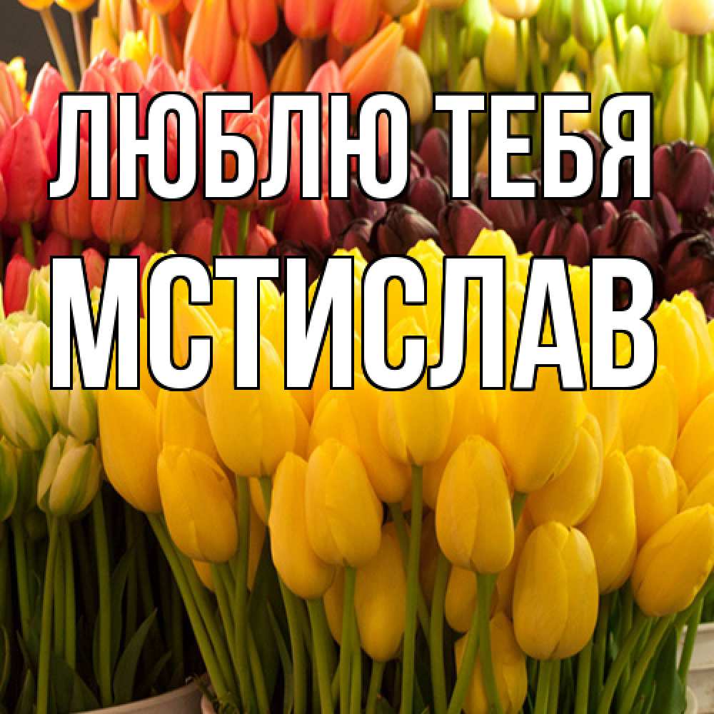 Открытка на каждый день с именем, Мстислав Люблю тебя цветы Прикольная открытка с пожеланием онлайн скачать бесплатно 