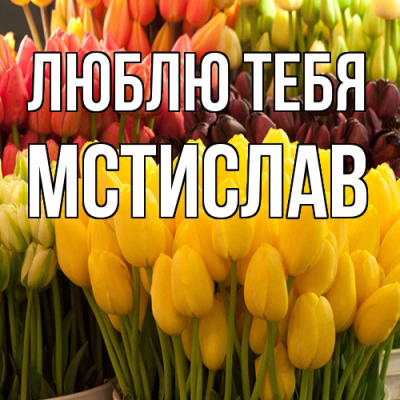 Картинка Люблю тебя, Мстислав