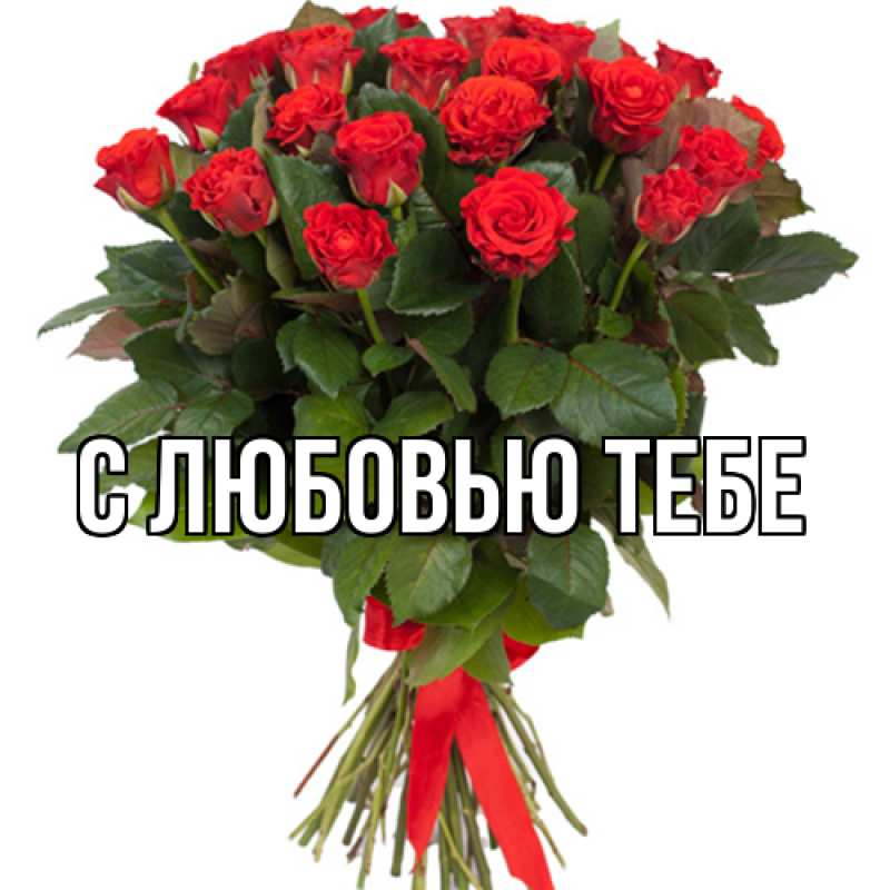 Картинка Люблю тебя, Ева