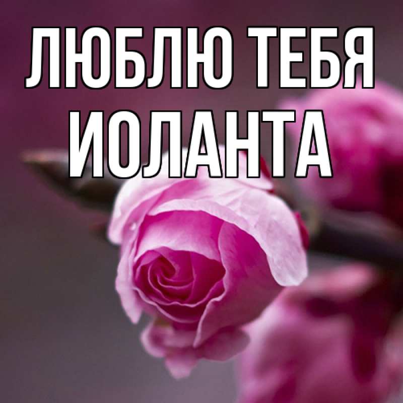 Картинка Люблю тебя, Иоланта