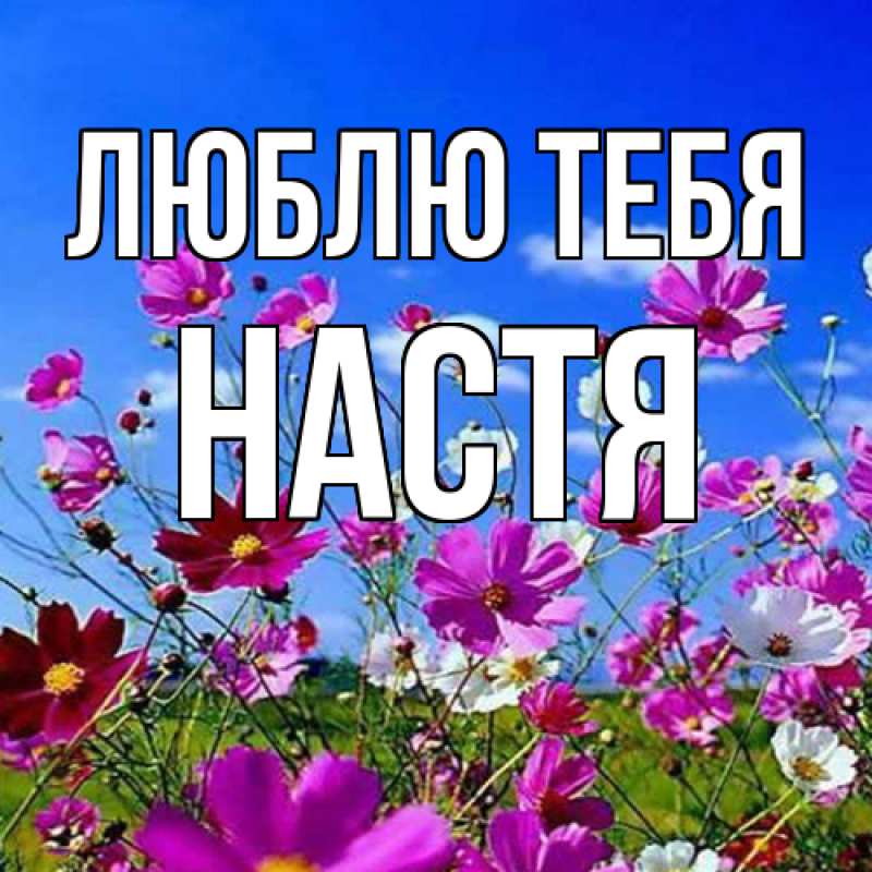 Картинка Люблю тебя, Настя