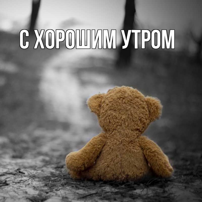 Картинка Скучашки, Дамира