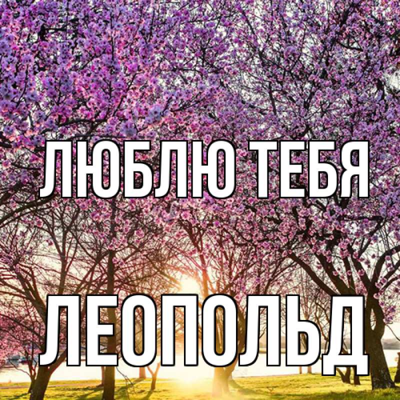 Картинка Люблю тебя, Леопольд