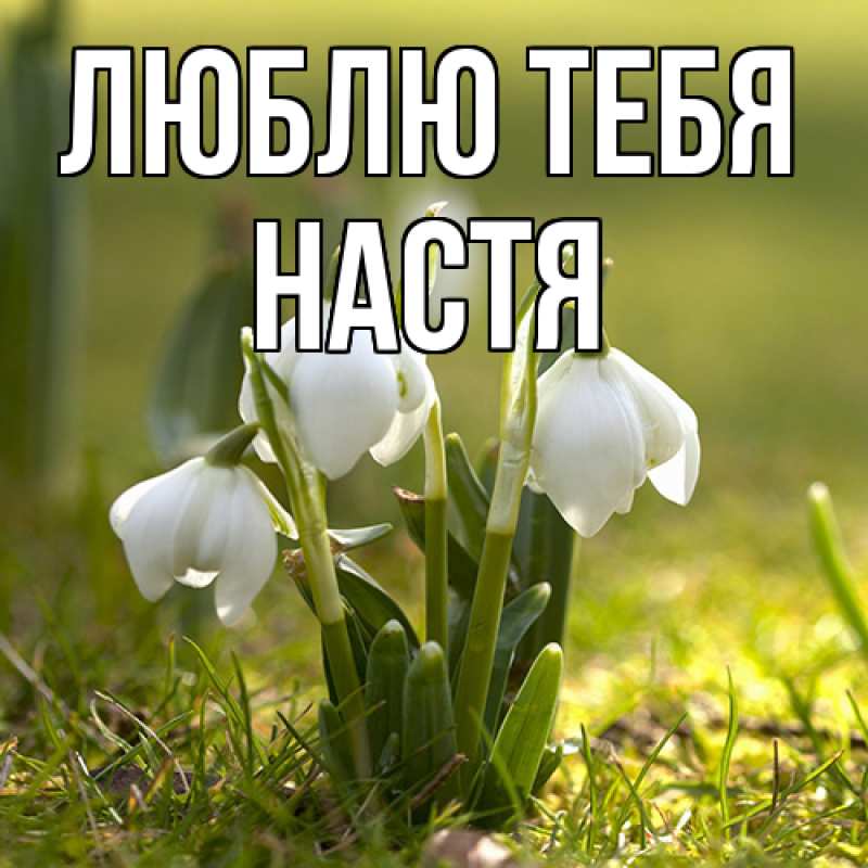 Картинка Люблю тебя, Настя