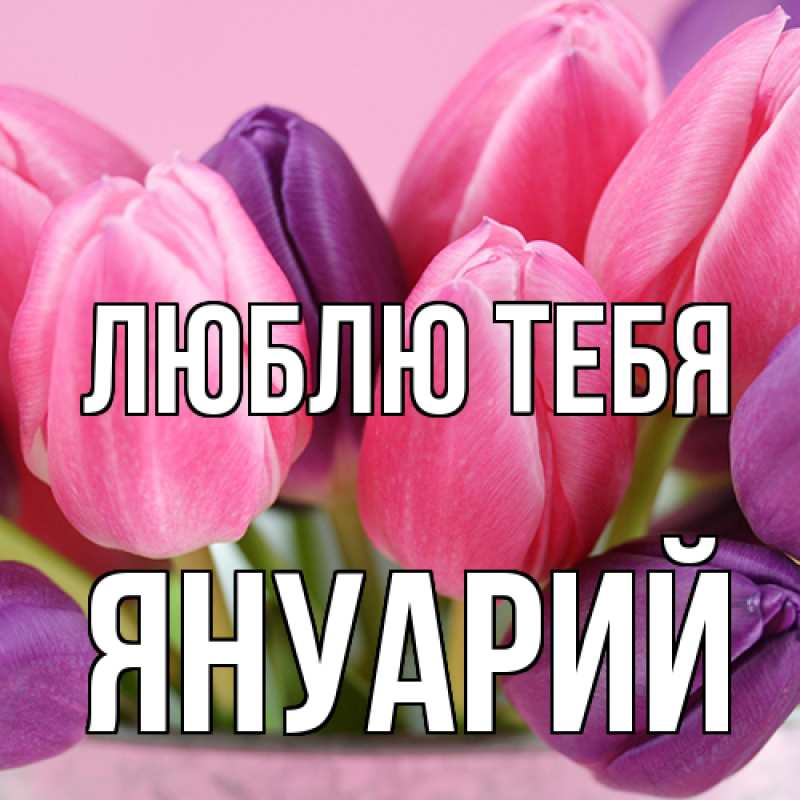 Картинка Люблю тебя, Януарий