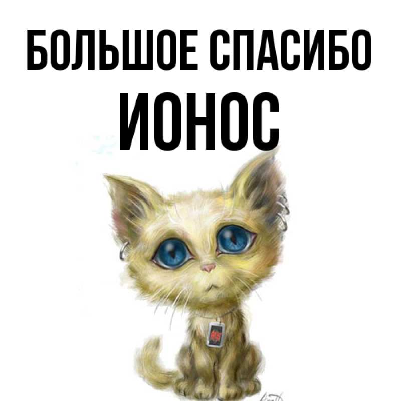 Картинка Большое спасибо, Ионос
