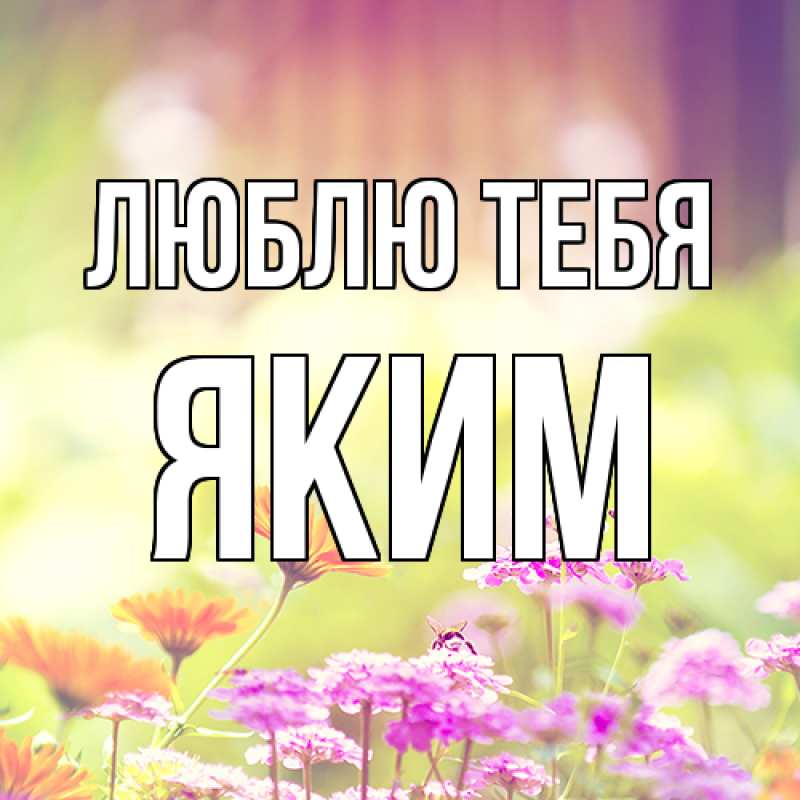 Картинка Люблю тебя, Яким