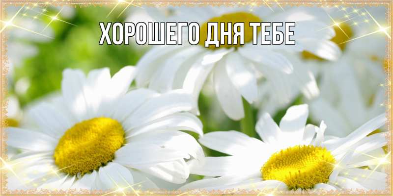 Картинка Люблю тебя, Фархад