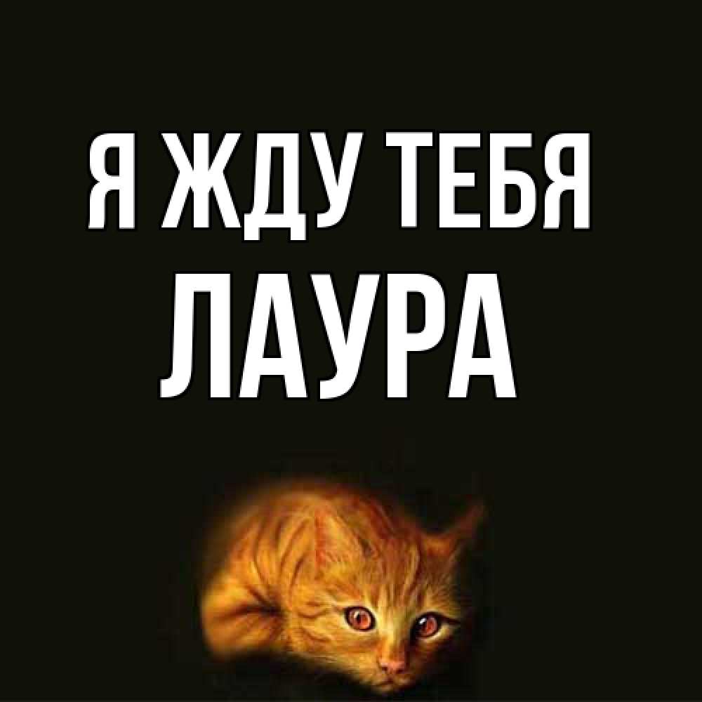 Открытка на каждый день с именем, Лаура Я жду тебя рыжий Прикольная открытка с пожеланием онлайн скачать бесплатно 