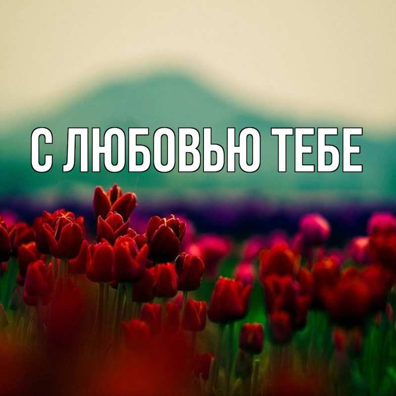 Картинка С любовью тебе, 