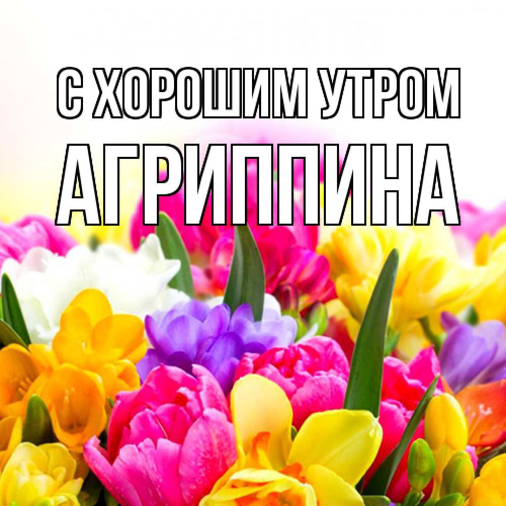 Открытка на каждый день с именем, Агриппина С хорошим утром создать открытку со свое подписью Прикольная открытка с пожеланием онлайн скачать бесплатно 