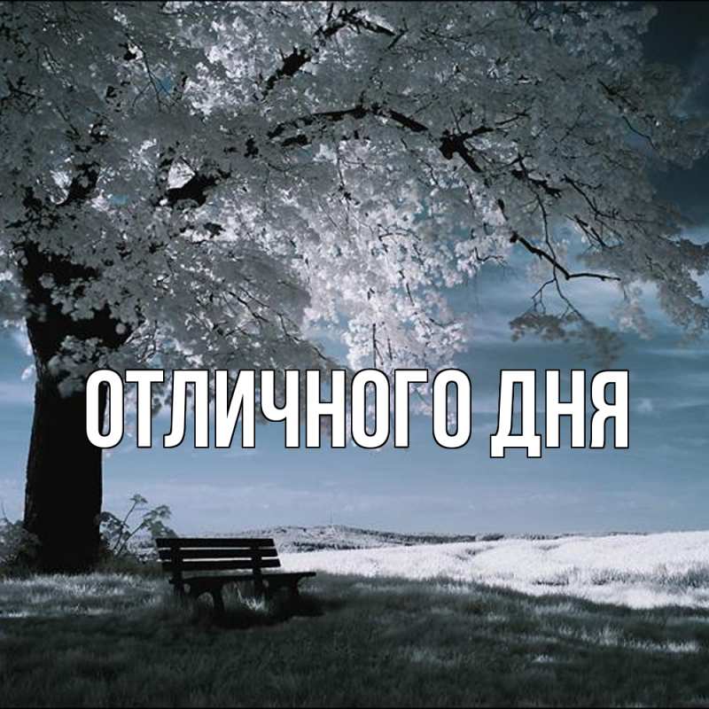 Картинка Обнимашки, Ева