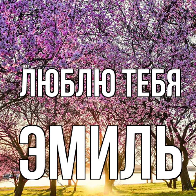 Картинка Люблю тебя, Эмиль