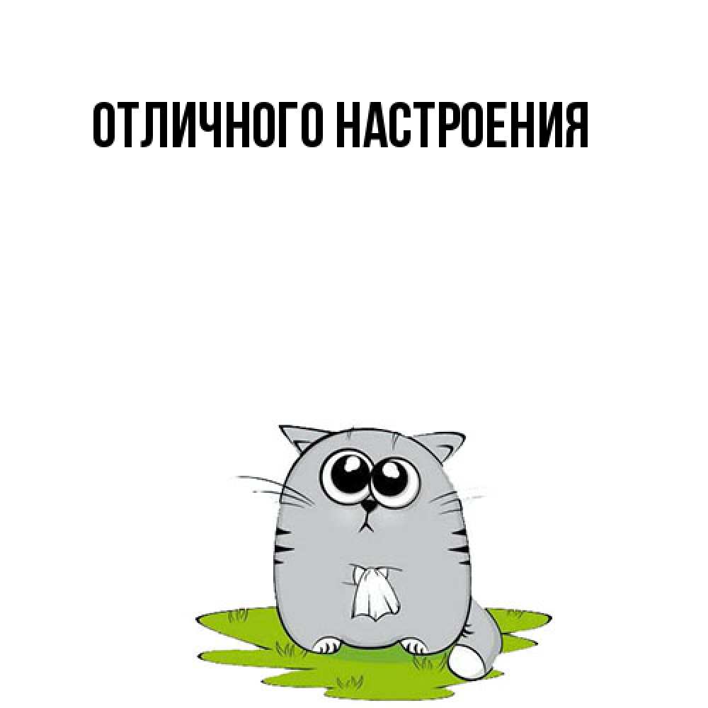 Открытка на каждый день с именем, Констанция Обнимашки котик теребит платочек сидя на травке Прикольная открытка с пожеланием онлайн скачать бесплатно 