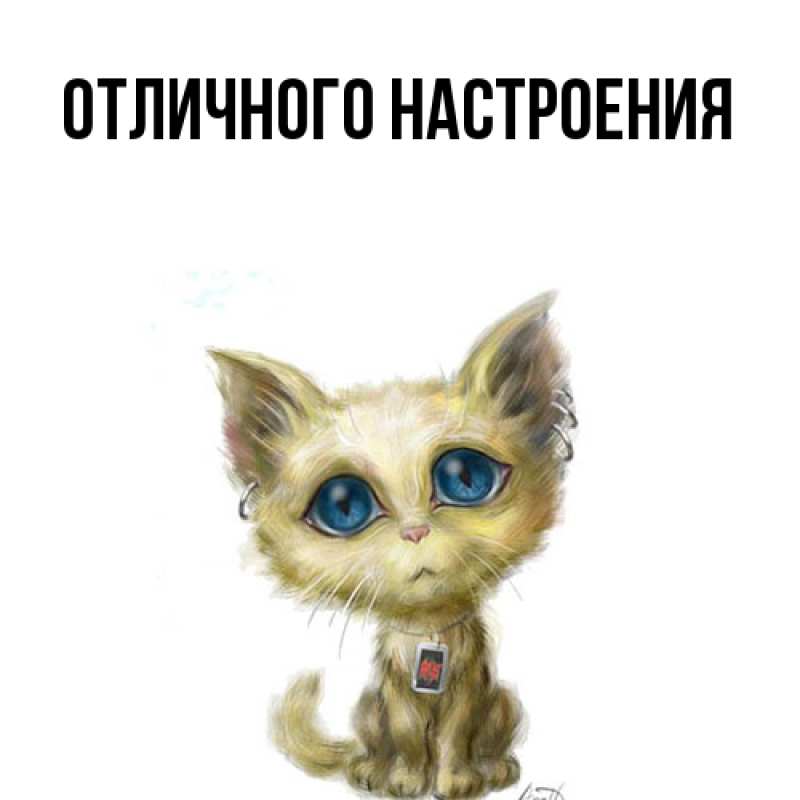 Картинка Большое спасибо, Мира