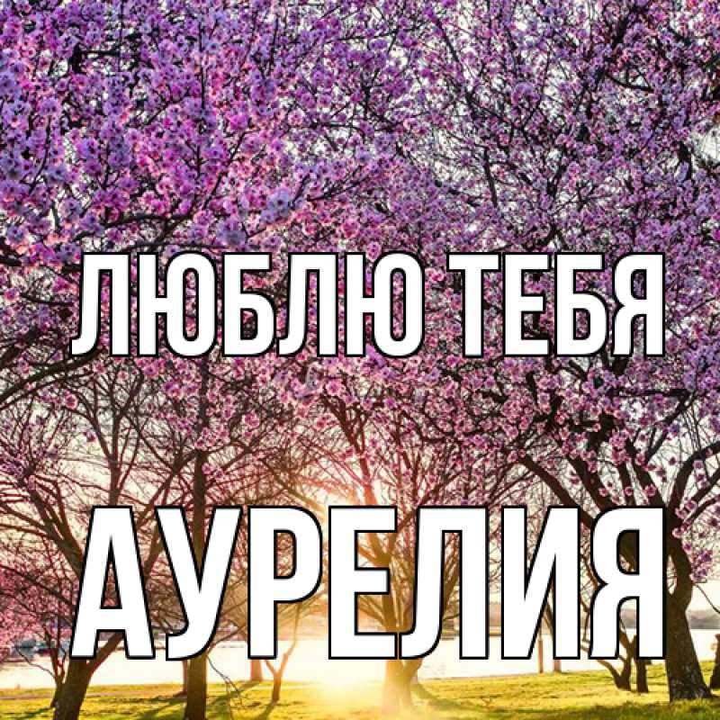 Картинка Люблю тебя, Аурелия