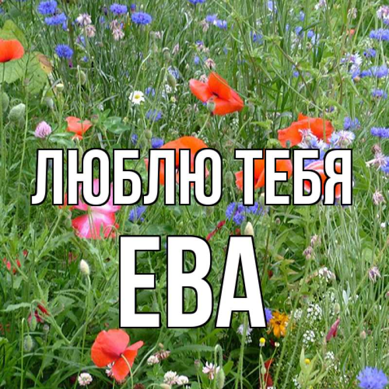 Картинка Люблю тебя, Ева