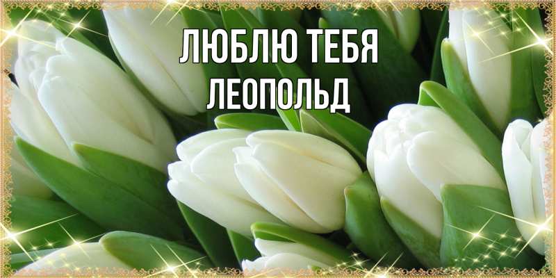 Картинка Люблю тебя, Леопольд