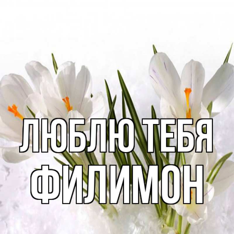Картинка Люблю тебя, Филимон